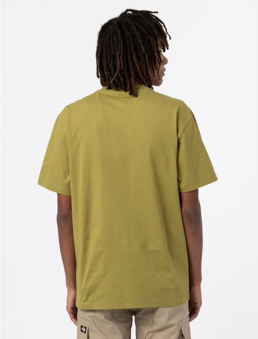 T-Shirt Dickies a Mezze Maniche / Verde - Ideal Moda
