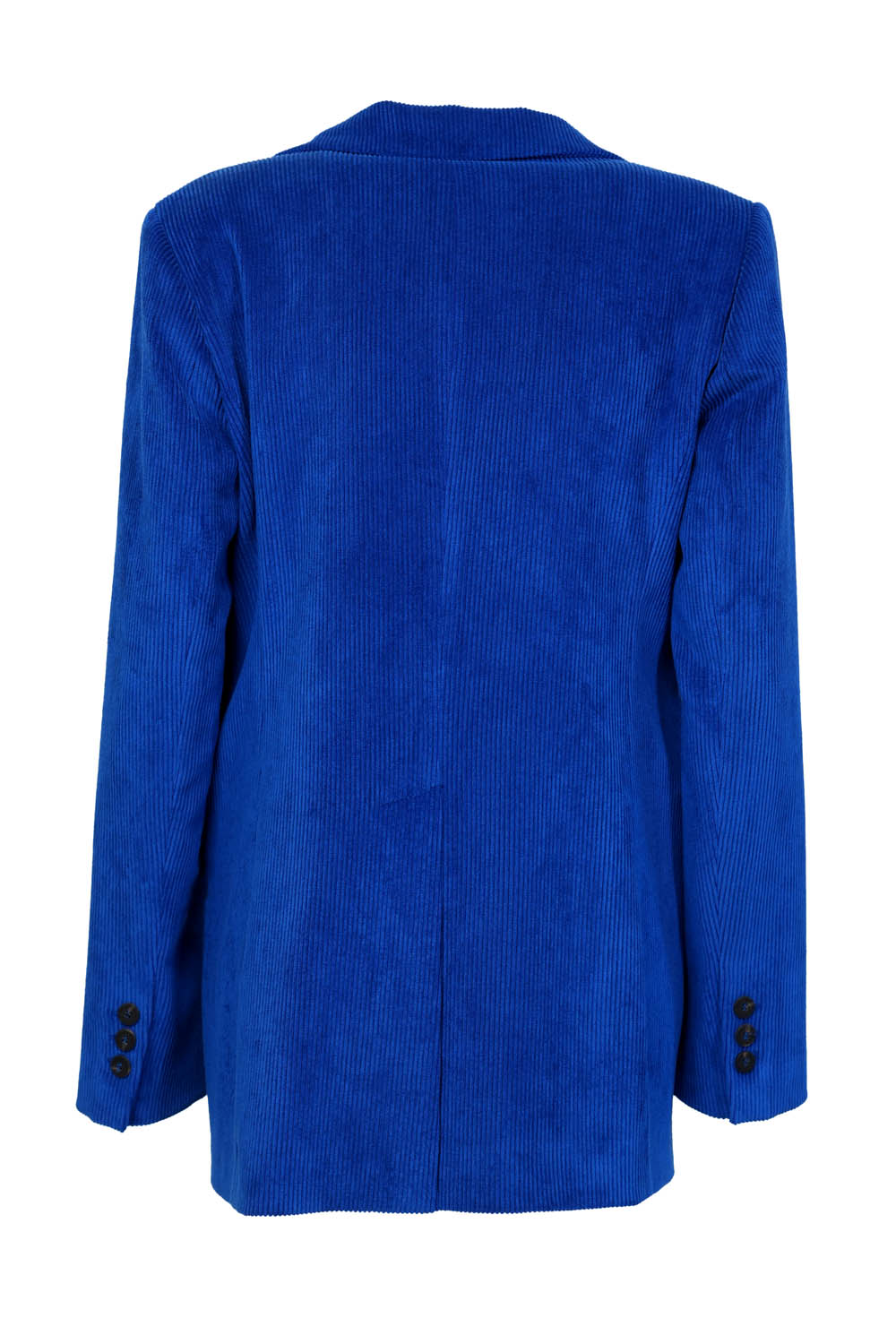 Giacca Monopetto in Velluto Skills & Genes / Bluette - Ideal Moda