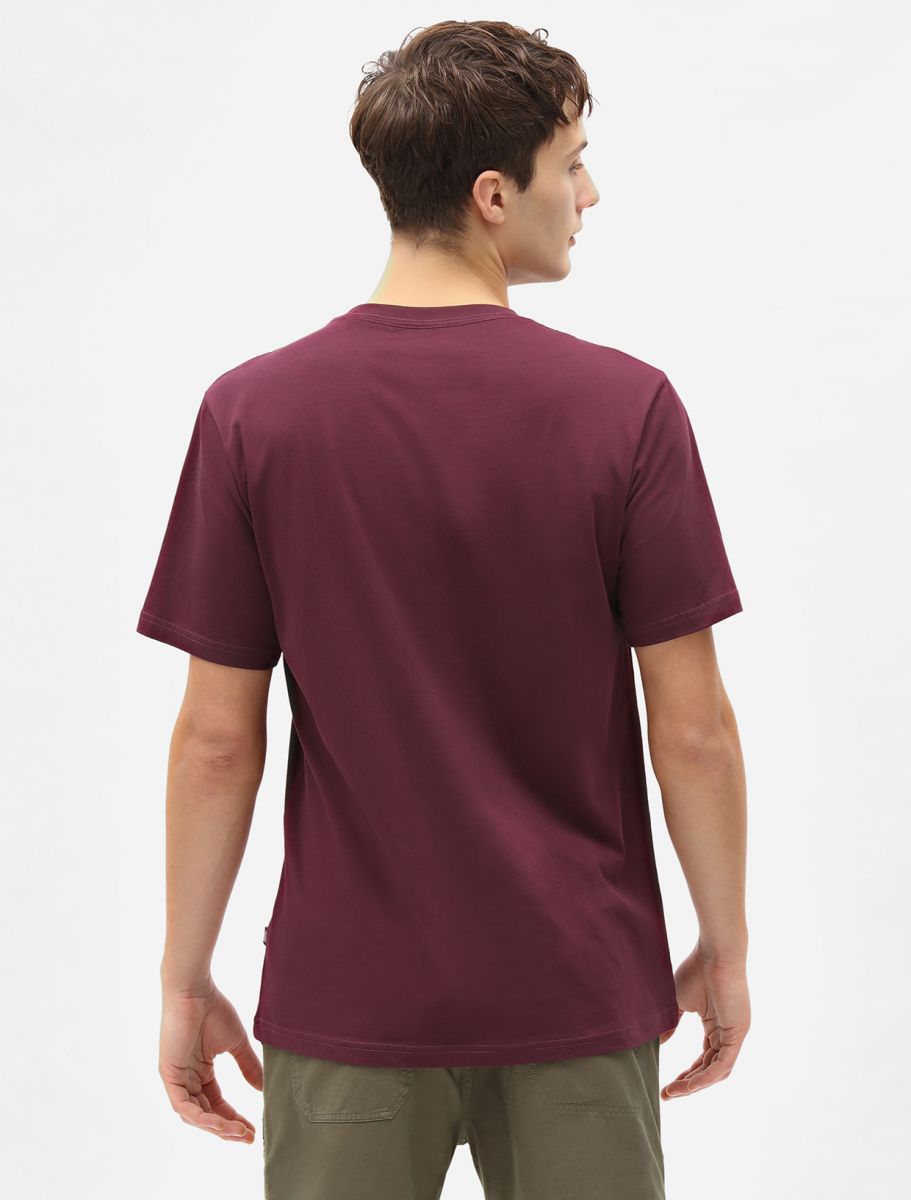 T-Shirt Dickies Mapleton / Bordeaux - Ideal Moda