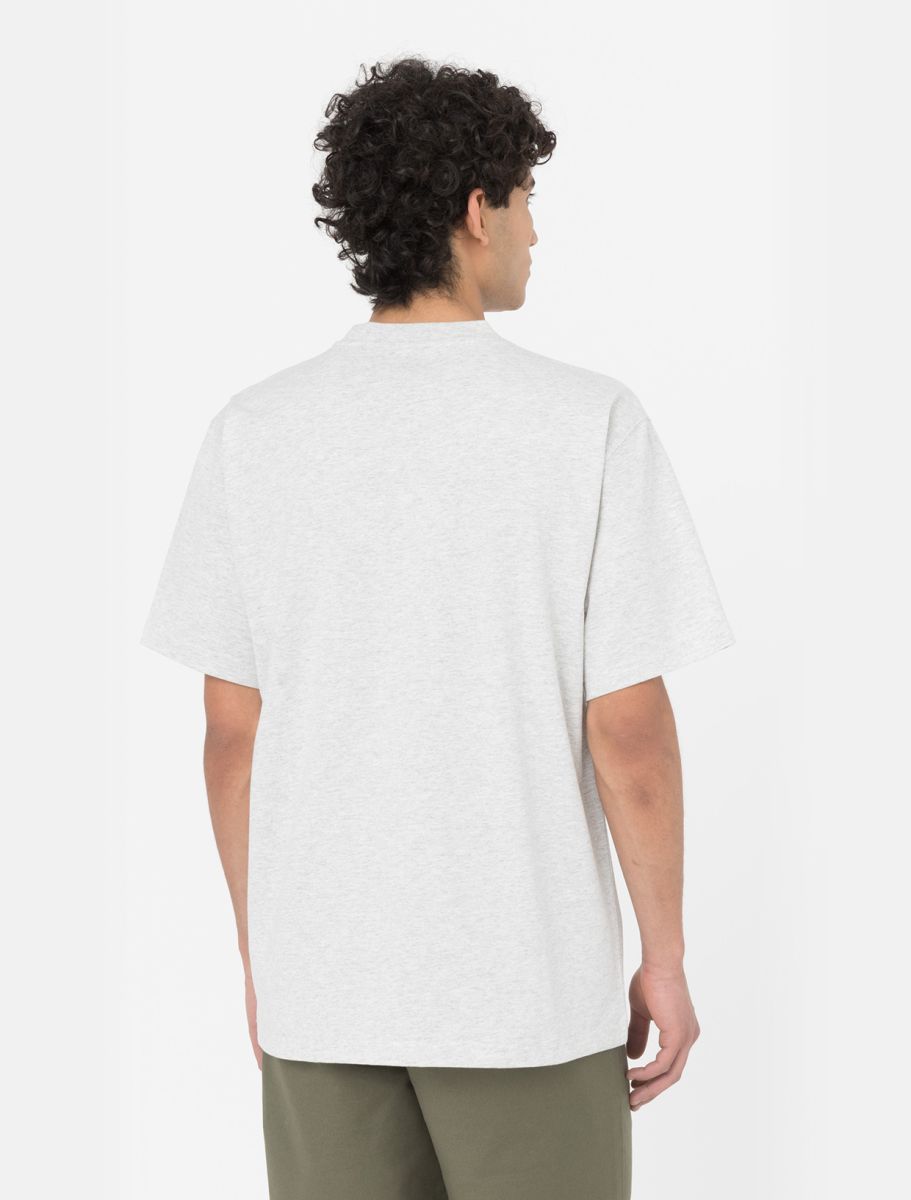 T-Shirt Summerdale con Logo Dickies / Grigio - Ideal Moda